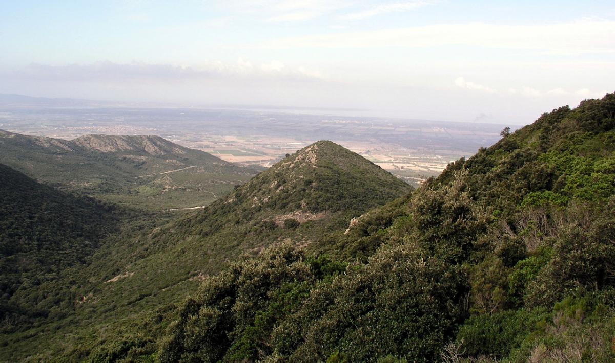 monte arci